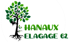 elagage-hanaux-elagage-62